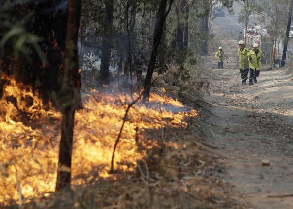 Kembali, Dua Orang Tewas Terpanggang Dalam Krisis Kebakaran Hutan di Australia