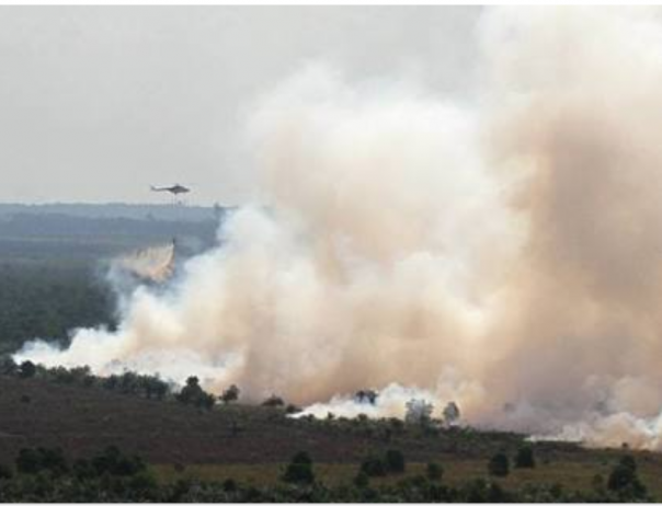 Memasuki Musim Kemarau Fase Pertama musim Pemkab Siak berupaya melakukan pencegahan kebakaran hutan dan lahan (Karhutla) di wilayah Siak (foto/int)