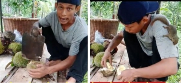 Pria ini bawa tupai saat cari dan buka durian pakai cangkul (foto/int)