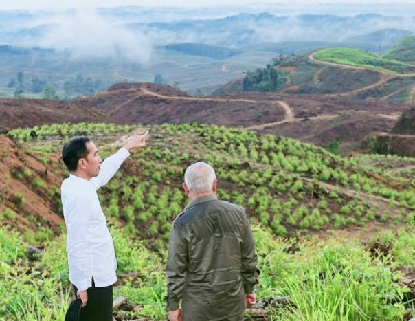 Jokowi saat melakukan peninjauan lahan di Ibu Kota baru (int)