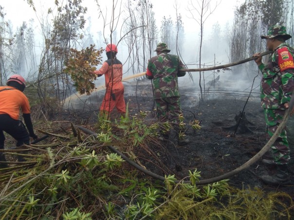 Kebakaran hutan dan lahan di Bengkalis terus terjadi (foto/Hari)