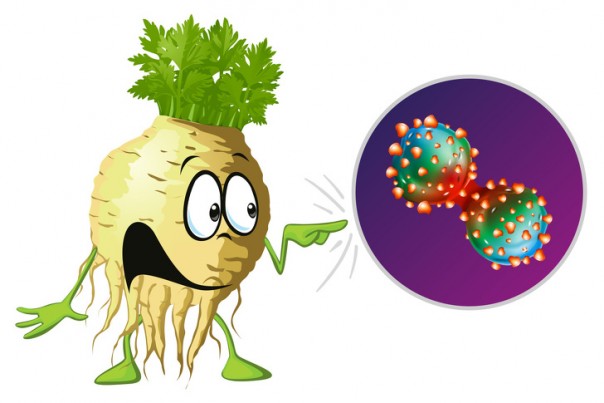 ஒவ்வொரு காலையிலும் செலரி ஜூஸ் குடிப்பதன் நன்மைகள் 2 Enam Hal Yang Terjadi pada Tubuh Anda Saat Anda Mulai Minum Jus Seledri Setiap Pagi | RIAU24.COM
