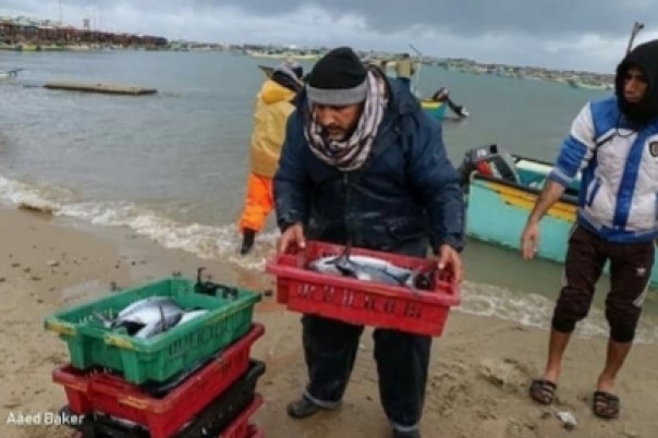 Nelayan Gaza Palestina mengangkut ikan hasil tangkapan dari laut ke darat (foto/int)