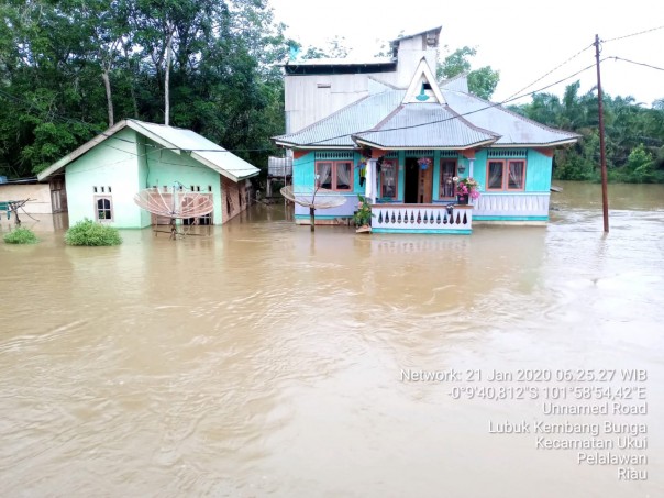 Desa Lubuk Kembang Bunga Kecamatan Ukui Kabupaten Pelalawan Riau kembali digenangi banjir (foto/Ardi)