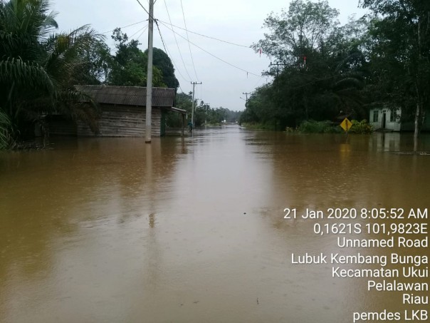 Meski kedalaman genangan banjir di Desa Lubuk Kembang Bunga Kecamatan Ukui Pelalawan surut 5 sampai 10 cm dari kondisi di sore kemarin (foto/Ardi)