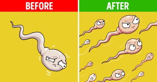Sepuluh Keajaiban Ini yang Akan Terjadi Pada Tubuh Jika Makan Kacang Kenari, Bisa Memperbaiki Kualitas Sperma Lho...