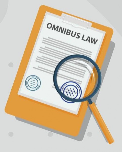Rancangan Undang-Undang (RUU) Omnibus Law cipta lapangan kerja (foto/int)