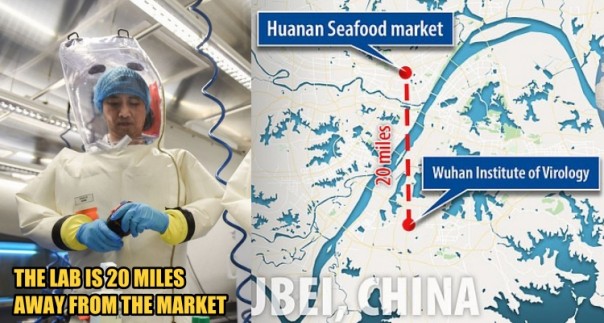 Tak Dari Hewan, Namun Ilmuwan Mencurigai Virus Corona di Wuhan Berasal Dari Laboratorium Keamanan Tinggi Ini