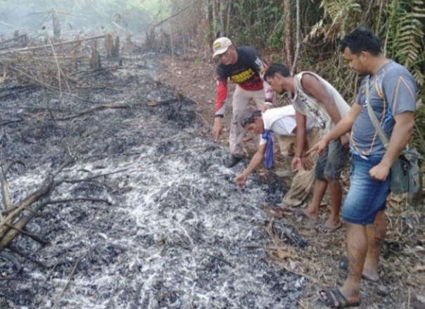 Dua orang warga Mnadau Bengkalis ditangkap polisi gara-gara membakar lahan (foto/int)