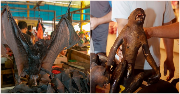 Tak Hanya di Wuhan, Pasar di Indonesia Ini Menjual Daging Kelelawar dan Monyet yang Dibantai Dengan Kejam Untuk Para Pembeli