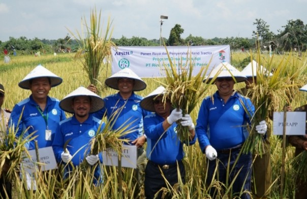 Bupati Pelalawan bersama para petani melakukan panen raya padi perdana di Desa Sungai Ara (foto/int)