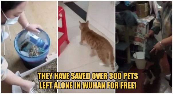 Para Relawan Tiongkok Menyelamatkan Lebih Dari 300 Hewan Peliharaan Setelah Pemiliknya Terdampar di Luar Kota Wuhan