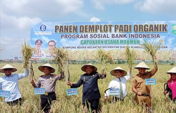Pemerintah Kabupaten Siak mengapresiasi komitmen Bank Indonesia (BI) dalam mendukung terwujudnya pengendalian inflasi (foto/Lin)
