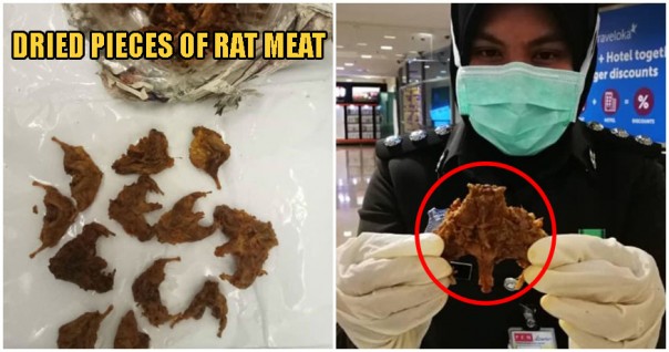 Ditengah Virus Corona, Pria Asal Myanmar Ini Menyelundupkan Daging Tikus di Bandara Penang 