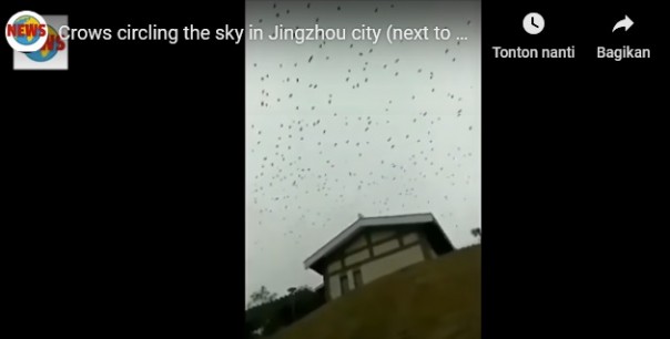 Penampakan Ribuan Burung Gagak di Atas Kota Wuhan