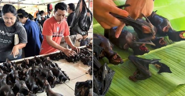 Wabah Coronavirus, Beberapa Pasar Di Indonesia Masih Menjual Daging Kelelawar