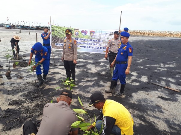 Kepolisian Resor Bengkalis melakukan penanaman sebanyak 1500 batang bibit pohon mangrove (foto/int)