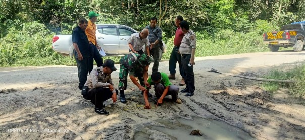 Balai Besar Konservasi Sumber Daya Alam (BBKSDA) Provinsi Riau, menyimpulkan, dugaan penampakan harimau sumatera di PT Surya Bratasena Pangkalan Kuras, adalah hoax (foto/Ardi)