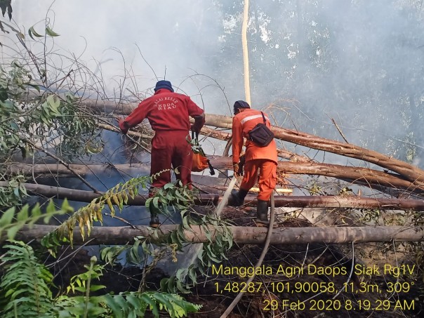 Tim Gabungan Karhutla Kabupaten Bengkalis masih bekerja keras di lapangan untuk melakukan pemadaman serta pendinginan lahan Karhutla (foto/Hari)