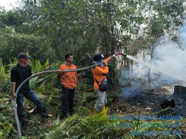 Tim Karhutla Kabupaten Pelalawan masih bekerja memadamkan dan mendinginkan kebakaran lahan masyarakat di Desa Pulau Muda (foto/Ardi)