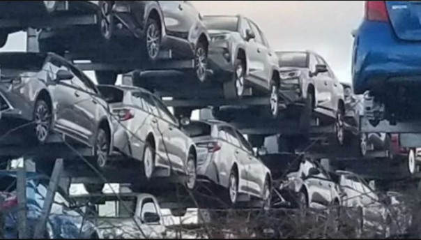 Begini penampakan puluhan mobil Toyota yang akan dihancurkan, meski kondisinya masih baru. Foto: int 