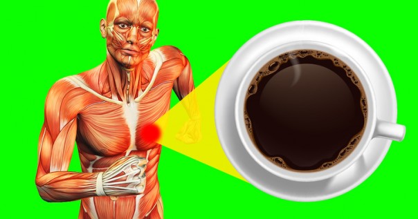 Penelitian Menunjukkan Minum 2 Cangkir Kopi Sehari Dapat Membantu Anda Hidup Lebih Lama