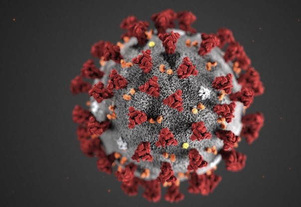 Iran menyebut staf medis yang mati 'martrys' karena virus membunuh 291