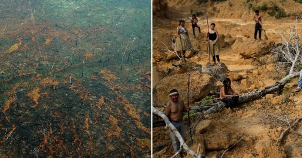 Ilmuwan Memperingatkan Hutan Amazon Akan Merubah Menjadi Tempat Mengerikan Dalam 50 Tahun Mendatang Karena Hal Ini...