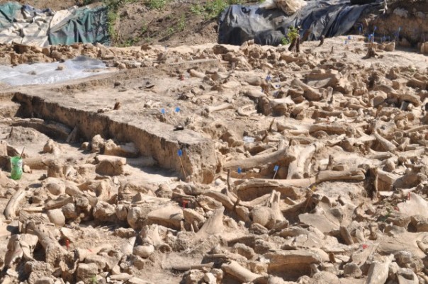 Mengejutkan, Lingkaran Batu Misterius yang Terbuat Dari Tulang Mammoth Ditemukan di Rusia