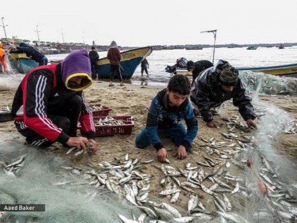 Nelayan Gaza banyak mendapat ikan melimpah di jaringnya (foto/int)