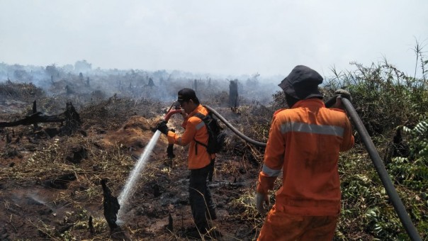 Pemadaman kebakaran lahan masyarakat di Desa Pangkalan Terap Kecamatan Teluk Meranti Kabupaten Pelalawan, masih terus dilakukan (foto/Ardi)