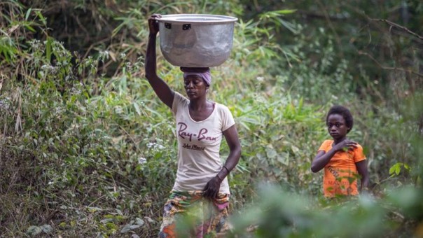 Ebola, Pembunuh Dalam Diam yang Mengamuk di Kongo Sejak 2019, Telah Menginfeksi Lebih Dari Ratusan Ribu Orang