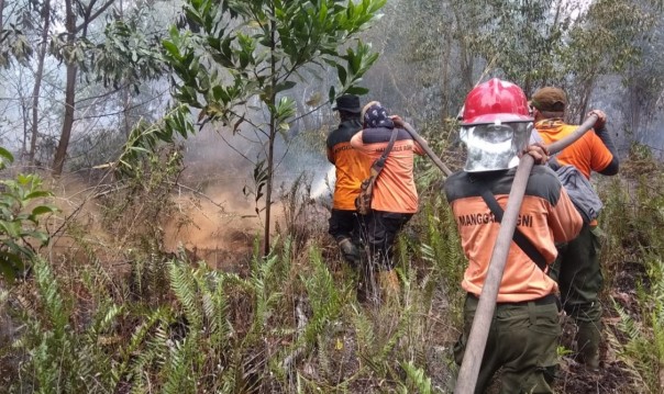 Tim terpadu tengah memadamkan api yang membakar lahan di Sumatera. Foto: ist