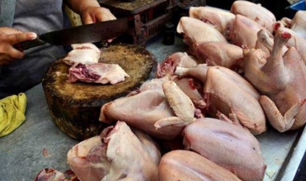 Sempat anjlok, kini harga ayam potong di Siak merangkak naik (foto/Lin)