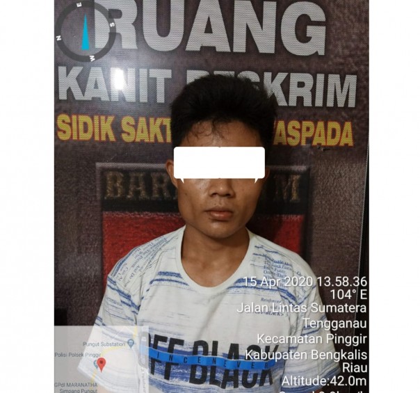 Satu orang tersangka berinisial IK (24) diringkus jajaran kepolisian sektor kecamatan Pinggir Kabupaten Bengkalis (foto/Hari)