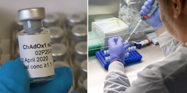 Peluang Vaksin Virus Corona Ditemukan Pada Akhir Tahun Ini Sangat Kecil