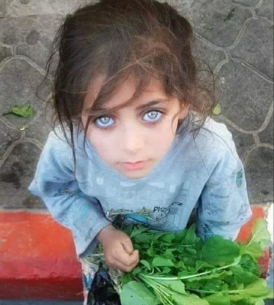 Anak kecil di Gaza, Plaestina bermata biru sedang membantu ibunya berjualan sayur (foto/int)