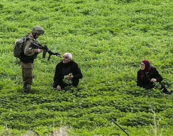 Bang Onim unggah foto seorang tentara Israel menodongkan senjata ke warga Gaza, Palestina (foto/int)