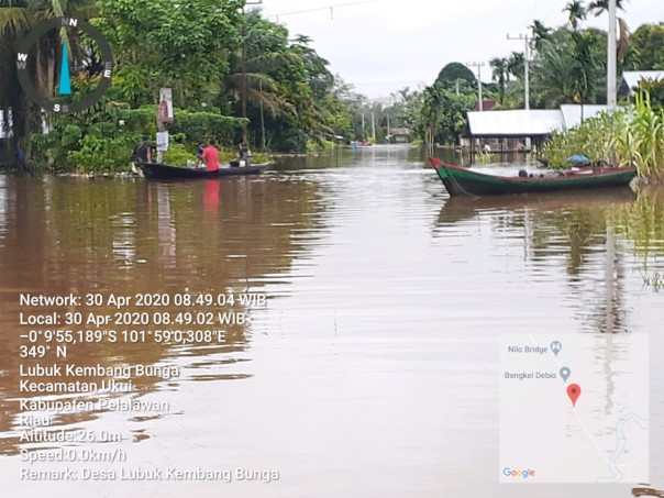 Dua Desa di Kecamatan Ukui Kabupaten Pelalawan, dilanda banjir, sejak Selasa kemarin. Yakni Desa Lubuk Kembang Bunga dan Desa Air Hitam (foto/Ardi)