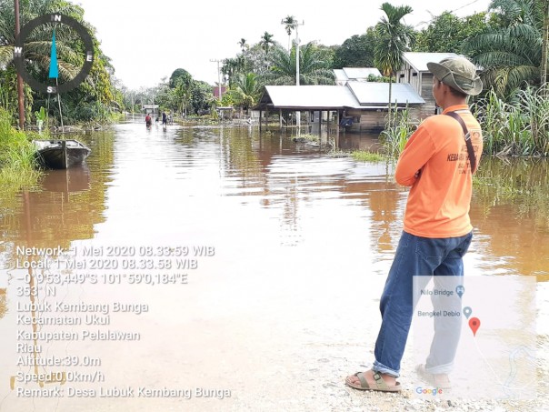 Kondisi banjir di dua Desa di Kecamatan Ukui Kabupaten Pelalawan Riau, sudah mulai surut (foto/Ardi)