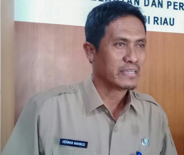 Pelaksana Tugas (Plt) Kepala Dinas Pangan, Tanaman Pangan dan Hortikultura Provinsi Riau, Herman Mahmud (foto/Wira)