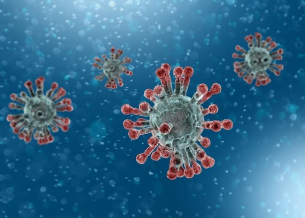Antibodi yang Menghentikan Sel Virus Corona Menginfeksi Sel Mahluk Hidup Ditemukan, Memberikan Secercah Harapan Dalam Pertempuran Dengan Covid-19