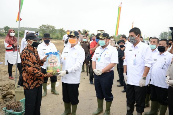 Pemerintah Provinsi Riau, melakukan gerakan menanam ubi kayu dan jagung dalam rangka Gerakan Tanam (Gertam) penyediaan pangan daerah (foto/Wira)