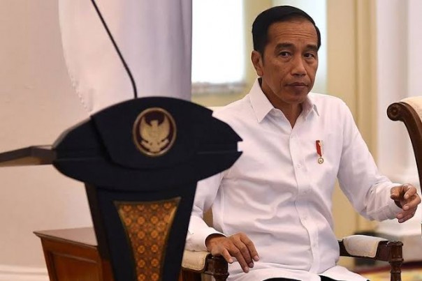 Pernyataan Presiden Jokowi soal berdamai dengan corona (foto/int)