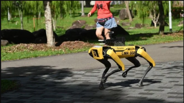 Robot berbentuk anjing yang siap memperingatkan warga untuk menerapkan social distancing di Singapura. Foto: int 