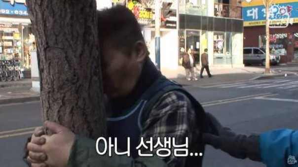 Pria Korea Selatan melakukan hal aneh dengan membenturkan kepala ke pohon sejak lima tahun lalu (foto/int)
