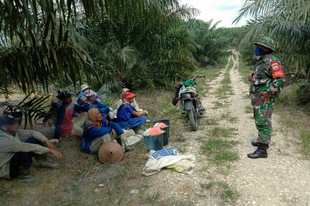 Cegah Karhutla, Babinsa Koramil 04/PKL Kuras Lakukan Patroli dan Sosialisasi Kepada Petani Sawit