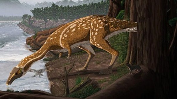 Elaphrosaur: Dinosaurus Langka Berhasil Diidentifikasi di Australia