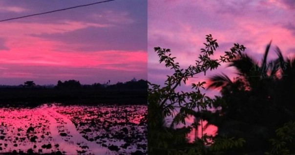 Mengerikan, Pasca Topan Amphan Menyapu Pantai India Langit di Atas Kota Bhubaneswar Berubah Warna Menjadi Merah Muda, Ini Penyebabnya...