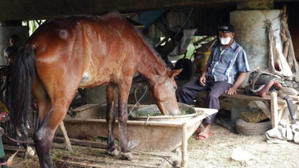 Idul Fitri yang Sepi di Bawah Kolong Jembatan di Jakarta, Para Kusir Kereta Kuda di Monas yang Tak Bisa Mengirimi Keluarganya Uang Pasca Pandemi Menghantam